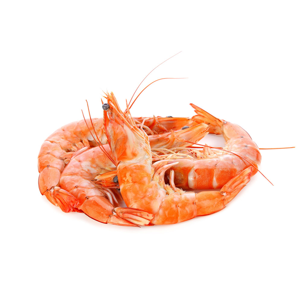 Gamberi Argentini