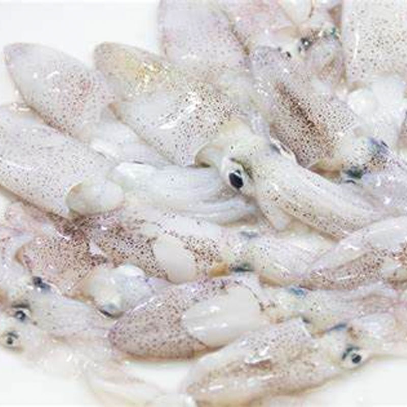 Calamaretti Puntilla