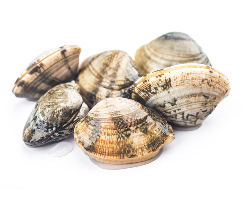 Vongole
