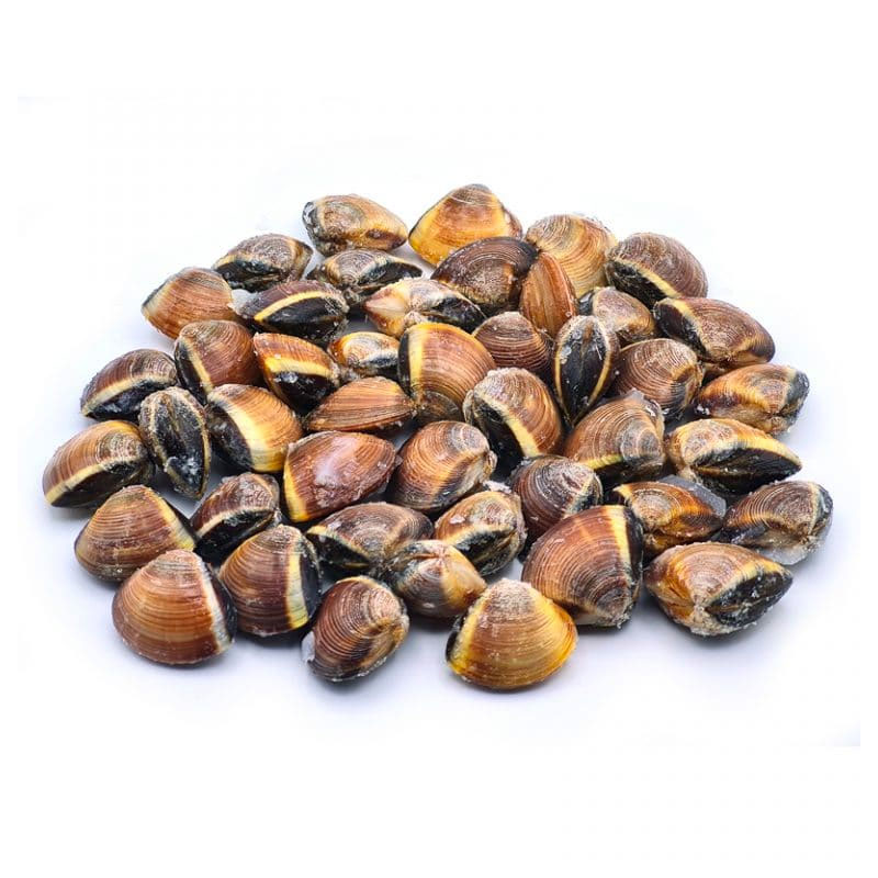 Vongole con guscio marroni Vietnam
