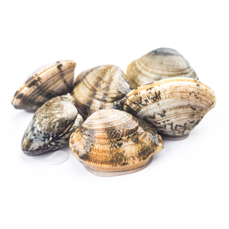 Vongole